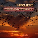 Hirudo - Countless Times
