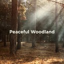 Nature Sounds Nature Music Nature Recordings - Woodland Ambience