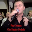 Puiu Codreanu - Cat E Banatu Si Ardealu