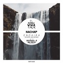 Nachap - Endaira Seismal D Remix