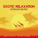 Total Relax Zone - Tribal Drums
