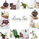 Serenity Spa Music Zone - Healing Sounds of Vibrations