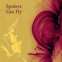 Spiders Can Fly - The Whale