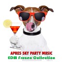 Apres Ski Party Music EDM Collective - Jaguar of the Snow Deep House