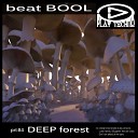 Beat Bool - Dont Be Afraid Of The Dark Original Mix