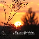 Marcus Denight - Spring In My Soul