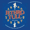Jethro Tull - Kissing Willie 2006 Remaster