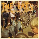 The Bats - The Rays