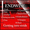 Endwise JP - Getting Into Stride Original Mix