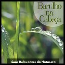 Relaxamento Sons da Natureza Ru do Branco Musicas… - Serenidade