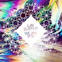 Lay Llamas - We Are You Radio Edit