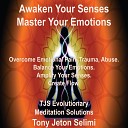 Tony Jeton Selimi - Awaken Your Senses Master Your Emotions