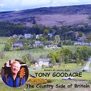 Tony Goodacre - Bird On the Wing