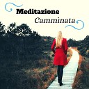 Meditazione Tazza - Lo spirito dello zen
