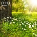 Ed Chill - Awakening Original Mix
