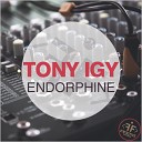 dj tony igy - endorrphine