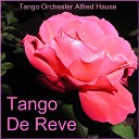 Tango Orchester Alfred Hause - Organito De La Tarde