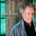 Bob Walsh - Chicago Blues