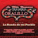 Banda Coralillos - El Sinaloense