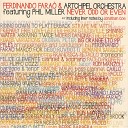 Ferdinando Faraò, Artchipel Orchestra feat. Phil Miller - Riding Down To Platterback