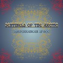 Sentinels of the Arctic - Deep Within Road beyond the Self