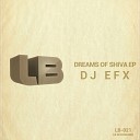 DJ EFX - A Song For Life Original Mix