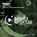 Trizet - Acid Jungle R E L O A D Remix