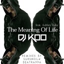 DJ Koo feat Ashley Jana - The Meaning Of Life Subshock Remix