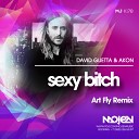 David Guetta Akon Best Muzo - Sexy Bitch Art Fly Remix