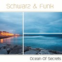 Schwarz And Funk - Dragon Sea