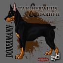 Taigherwuds feat Dario H feat Dario H - Dobermann Original Mix