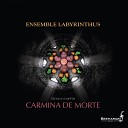 Ensemble Labyrinthus - Conductus Eclipsim Pattitur Lament for the death of Geoffrey II Duke of…