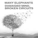 Many Elephants - No More Ivory