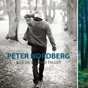 Peter Nordberg - N r en stj rna faller
