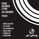 Pedro Delgardo TKNO - The Labyrinth Joe Mesmar Remix
