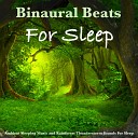 Binaural Beats Binaural Beats Sleep Binaural Beats… - Sleeping Music and Binaural Beats Rainforest Sounds For…