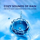Healing Rain Sounds feat Relaxation Zone - Tropical Forest