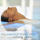 Pregnancy Soothing Songs Masters - Piano Sonata No 12 in F Major K 332 I Allegro Mozart Classic Notes for Deep…