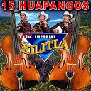 Trio Xilitla - La Vara De Mi Violin