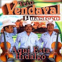 Trio Vendaval Huasteco - Corrido De Los Matones