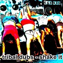 Tribal Dubs - Shake It