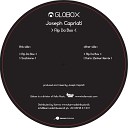 Joseph Capriati - Flip Da Box Dario Zenker Remix
