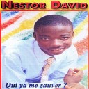 Nestor David - La vie ternelle