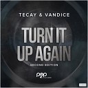 TeCay Vandice - Turn It up Again DJ R Gee ber Nacht Mix
