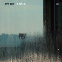 Tim Berne - Simple City