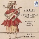 Rolf Lislevand Manfredo Kraemer The Rare Fruits… - Concerto for Lute and 2 Violins in D Major RV 93 I Allegro…