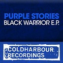 Purple Stories - Black Warrior Radio Edit