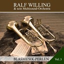 Ralf Willing und sein Multisound Orchestra - Casta Diva