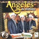 Angeles De Hidalgo - El Virus del Amor