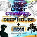DMT Cymatics - Sky High